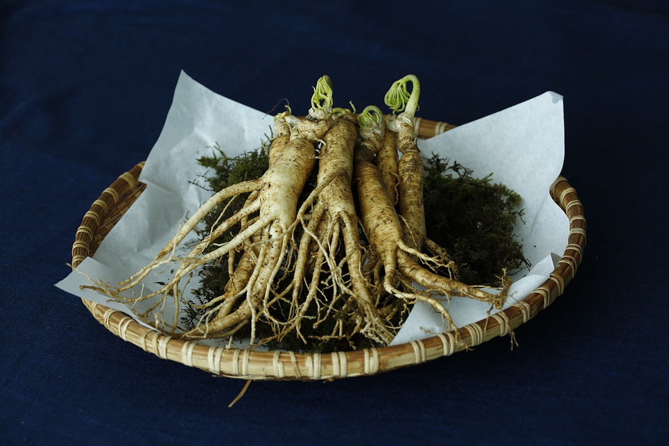 3 Ginseng Benefits You Won’t Believe