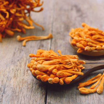 Cordyceps 4:1