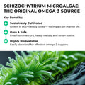 Schizochytrium microalgae with key benefits listed above