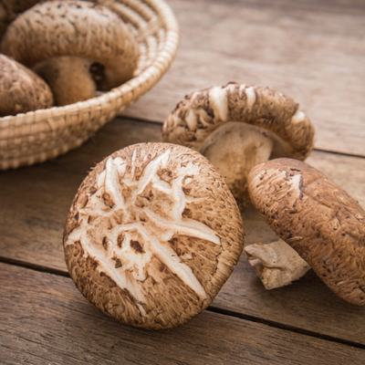 Shiitake 4:1