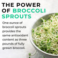 Broccoli_Sprout_Extract Bowl of broccoli sprouts with text about their antioxidant content