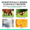 Advertisement for collagen products with images of cows, chickens, and ingredients.