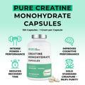Supplement bottle labeled 'Pure Creatine Monohydrate Capsules' with product features on a light green background.