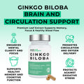 Gingko Biloba Olive Leaf Supplements Ginkgo Biloba supplement bottle with text on a light green background