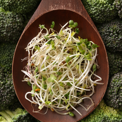 Broccoli Sprout Extract (10:1)