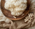 Lion's Mane 8:1 Mushroom Extract